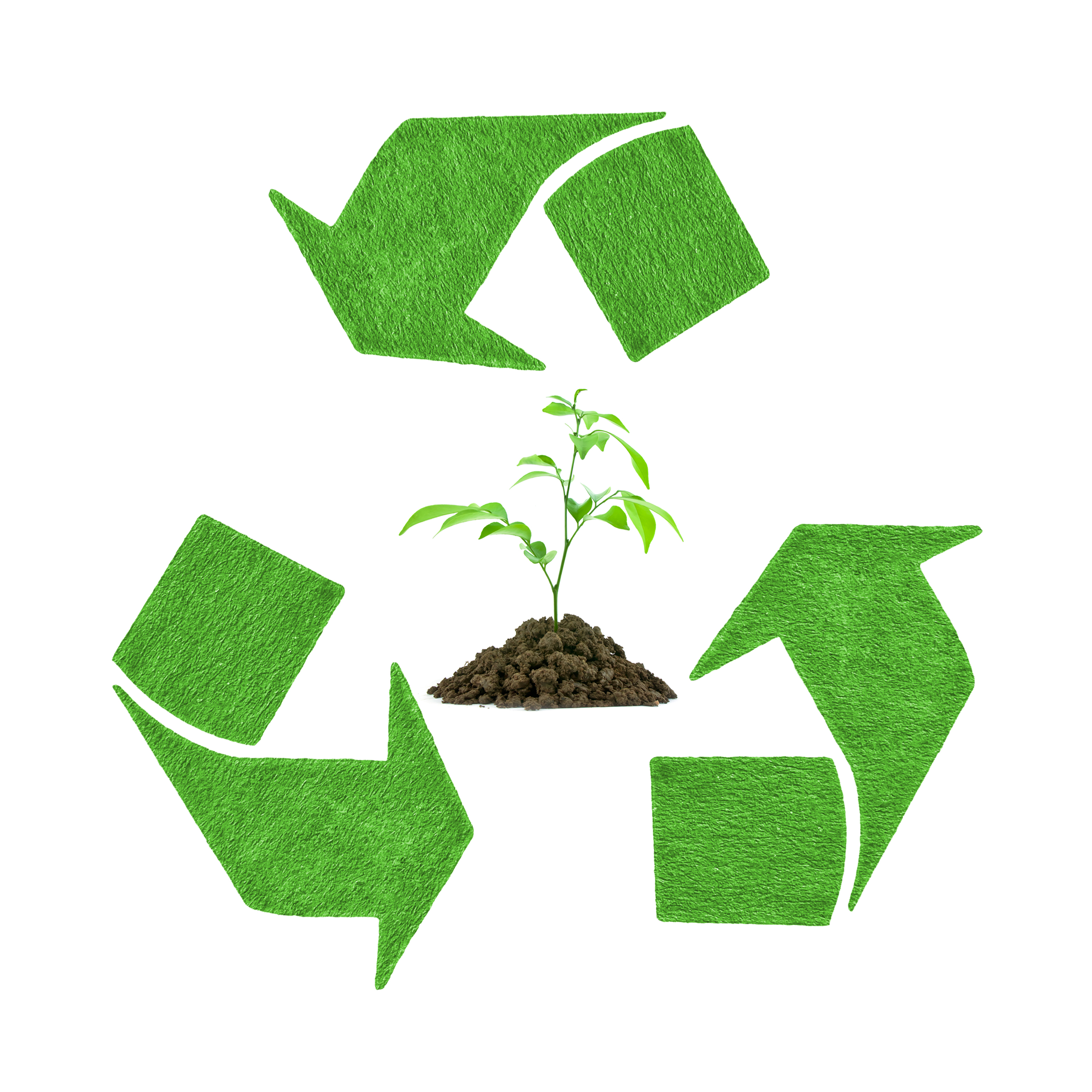 Earth Day Illustration
